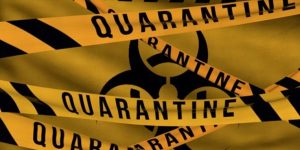 На этой неделе вступят в силу новые правила карантина. Что изменится