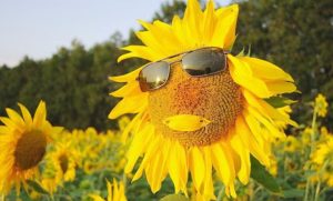 Аномальное лето удивит мощными циклонами: климатолог предупредила украинцев