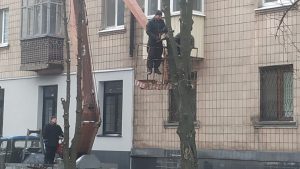 Фотофакт: в Славянске кронируют деревья