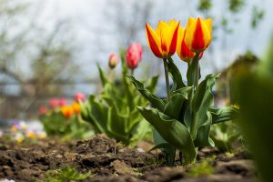 Выходные в апреле 2021 года в Украине: сколько будем отдыхать