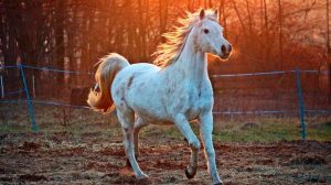 Приметы на 25 марта: что категорически нельзя делать в день Феофана