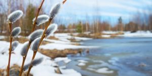 Праздничные и нерабочие дни в марте: календарь