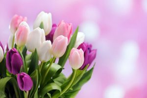 СМС с 8 марта