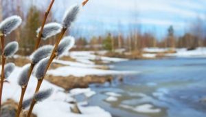 4 марта: что нельзя делать, приметы и именинники