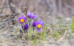 Праздник 28 марта: что категорически запрещено делать, важные приметы