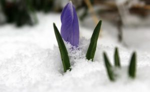 Прощеное воскресенье: что нельзя делать в праздник