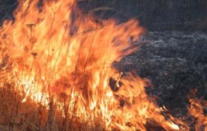 Лиман: в результаті горіння сухої трави постраждав чоловік