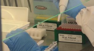 Ускладнення від COVID-19 стали причиною ще 30 смертей на Донеччині