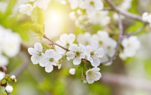 Какой будет погода на Пасху и майские праздники: синоптик дал подробный прогноз