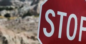 Украина запретила ввоз из России пшеницы, подсолнечного масла, моющих средств и бумаги