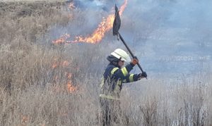 Бійці ДСНС ліквідували пожежу очерету