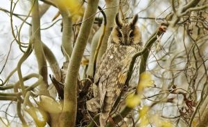 11 марта: праздник, приметы и именинники