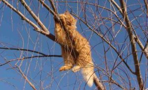 2 марта праздники: что нельзя делать, приметы и именинники