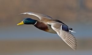 Праздник 31 марта: что нельзя делать, главные приметы