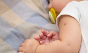 В украинских роддомах новорожденные 1,5 месяца не получают вакцину БЦЖ