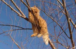 Приметы на 24 марта: что категорически нельзя делать