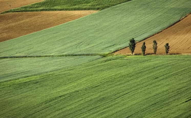 Право общин менять целевое назначение земель не грозит их массовой застройкой, – USAID Агро