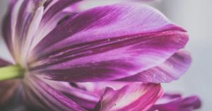 3 марта: что нельзя делать, приметы на праздник Овсянки и именинники