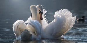 15 марта: праздники, приметы на Федота Ветроноса и именинники