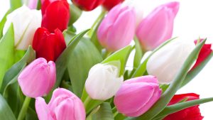 Короткие поздравления с 8 марта