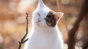 Приметы на 18 марта: что нельзя делать в этот день