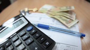 Субсидии придется вернуть: получателей помощи проверят