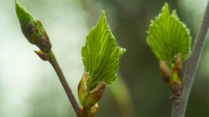 Народные приметы на 12 апреля 2021 года: что нельзя делать в новолуние