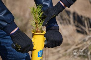 Понад дві тисячі людей на Донеччині долучилися до всесвітньої акції «Озеленення планети»