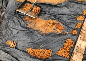 В Донецкой области пограничники обнаружили подводный арсенал боеприпасов