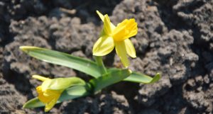 Народные приметы на 19 апреля 2021 года: что нельзя делать в этот день