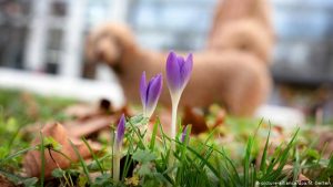 8 апреля: что нельзя делать на Гавриила Благовеста, приметы и именинники