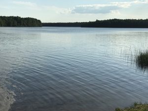 В пруду под Славянском нашли утопленицу