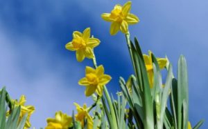 Приметы на 29 апреля: что нельзя делать в Чистый четверг