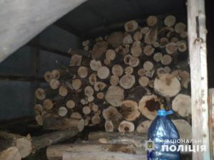 Слов’янські поліцейські припинили незаконну порубку лісу поблизу с. Сергіївка