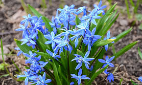 6 апреля: праздники, приметы и именинники