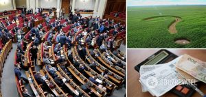 Украинцы могут бесплатно получить гектары земли: что на самом деле изменил Кабмин