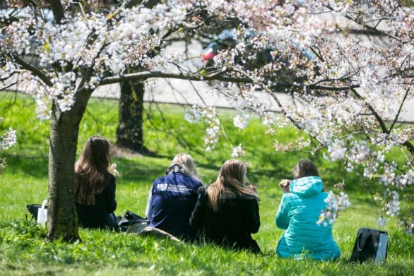 В Украину придет долгожданное потепление: синоптики назвали дату