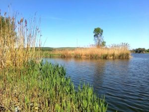 Из Казенного Торца достали тело человека без признаков жизни