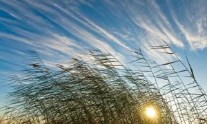 Что можно и нельзя 18 апреля. Народные приметы