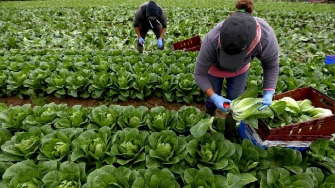 Украинские заробитчане будут по-новому платить налоги в Польше