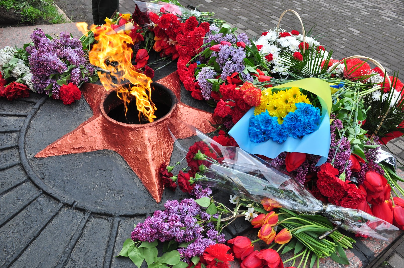 183014895 4309766212380795 3949344133937099720 n