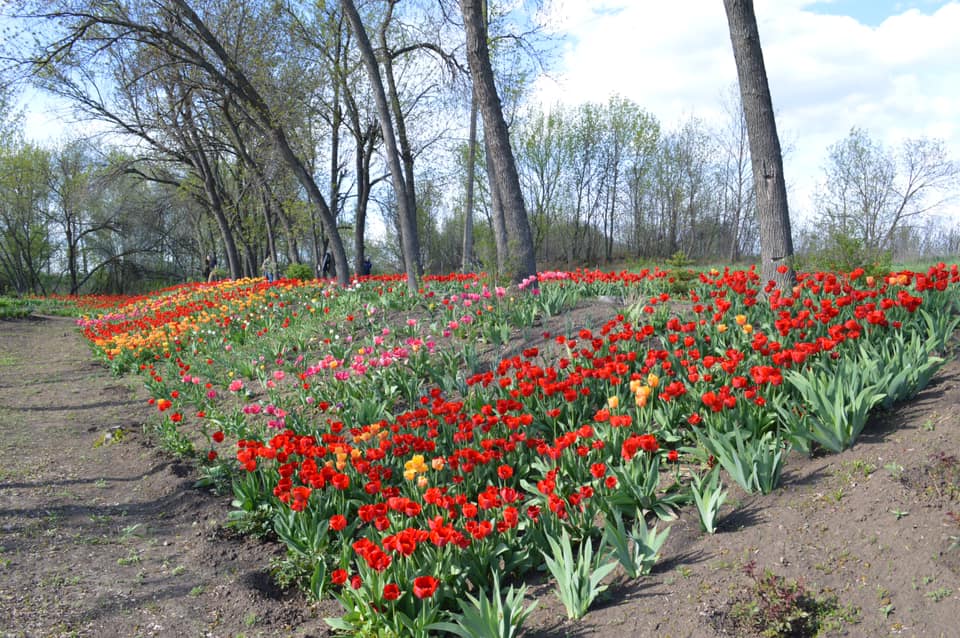 183963251 3986442511469889 1363170481119249746 n