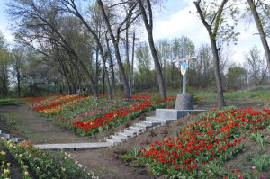 Около 3000 тюльпанов расцвели на месте блок-поста №1 неподалеку от поселка Мирный вблизи Славянска