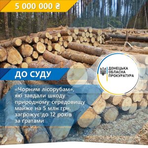 «Чорним лісорубам», які завдали шкоду природному середовищу майже на 5 млн грн, загрожує до 12 років за ґратами
