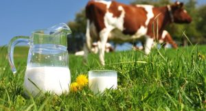 На Донетчине стали производить меньше молока