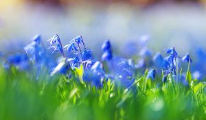 Приметы на 2 мая: что категорически нельзя делать в день Ивана