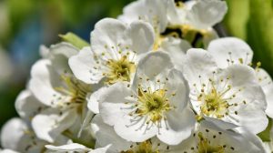 Приметы на 6 мая: что нельзя делать в Юрьев день