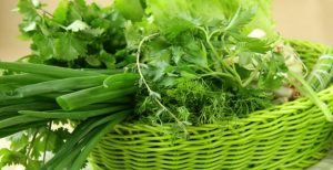 Чем полезна зелень и сколько нужно съедать за день: рекомендации экспертов