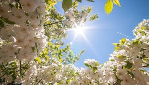 Приметы на 13 мая: что нельзя делать на день Иакова Зеведеева