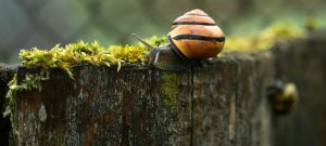 Праздник 11 мая: что нужно делать в Максимов день, чтобы оставаться здоровым